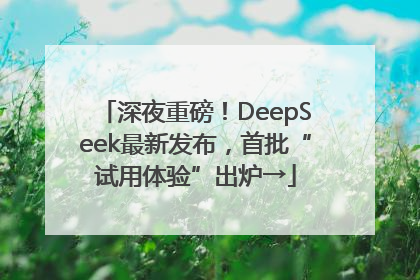 深夜重磅！DeepSeek最新发布，首批“试用体验”出炉→