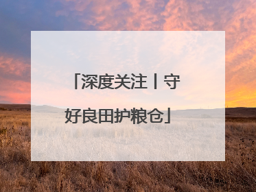 深度关注丨守好良田护粮仓