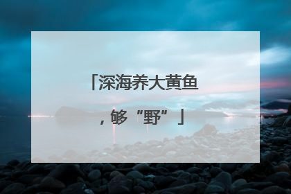 深海养大黄鱼，够“野”