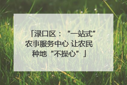 渌口区：“一站式”农事服务中心 让农民种地“不操心”