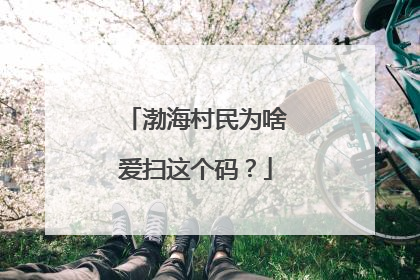 渤海村民为啥爱扫这个码？