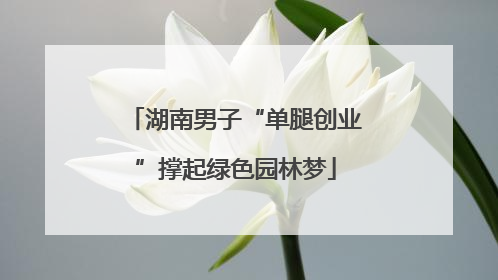 湖南男子“单腿创业”撑起绿色园林梦