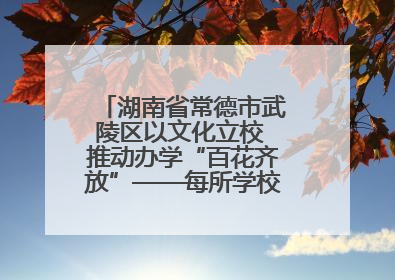 湖南省常德市武陵区以文化立校 推动办学“百花齐放”——每所学校都“精彩”