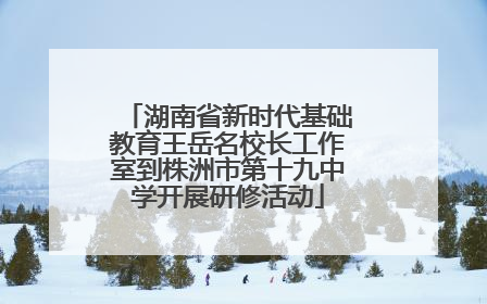 湖南省新时代基础教育王岳名校长工作室到株洲市第十九中学开展研修活动