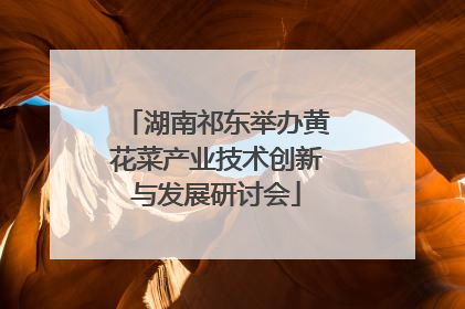 湖南祁东举办黄花菜产业技术创新与发展研讨会