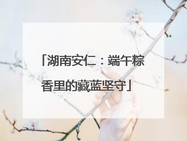 湖南安仁：端午粽香里的藏蓝坚守