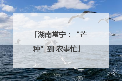 湖南常宁：“芒种”到 农事忙
