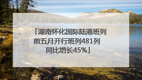 湖南怀化国际陆港班列前五月开行班列481列 同比增长45%