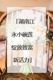 湖南江永小碗莲绽放致富新活力