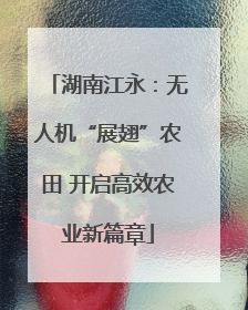 湖南江永：无人机“展翅”农田 开启高效农业新篇章