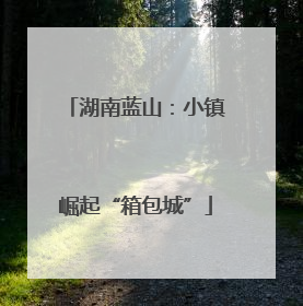 湖南蓝山：小镇崛起“箱包城”