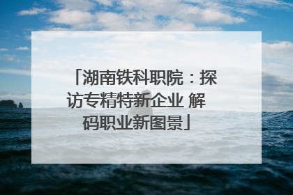 湖南铁科职院：探访专精特新企业 解码职业新图景