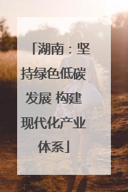 湖南：坚持绿色低碳发展 构建现代化产业体系