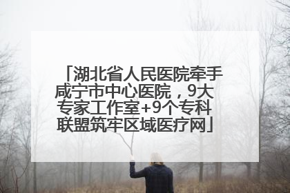湖北省人民医院牵手咸宁市中心医院，9大专家工作室+9个专科联盟筑牢区域医疗网