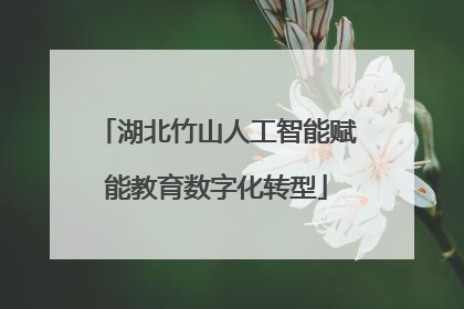 湖北竹山人工智能赋能教育数字化转型