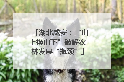 湖北咸安：“山上换山下”破解农林发展“瓶颈”
