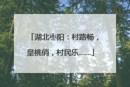 湖北枣阳：村路畅，皇桃俏，村民乐……