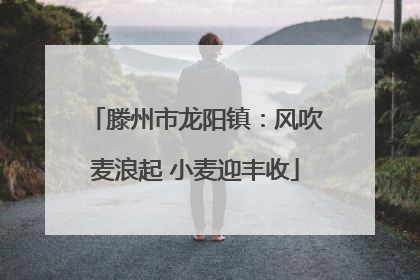 滕州市龙阳镇：风吹麦浪起 小麦迎丰收