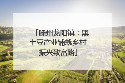 滕州龙阳镇：黑土豆产业铺就乡村振兴致富路