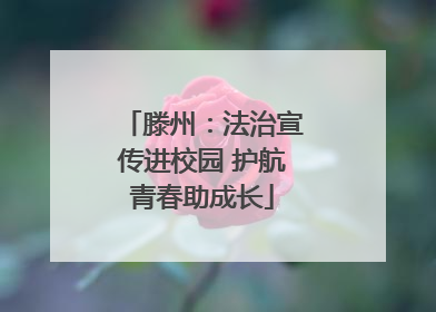 滕州：法治宣传进校园 护航青春助成长