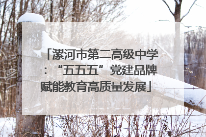 漯河市第二高级中学：“五五五”党建品牌赋能教育高质量发展