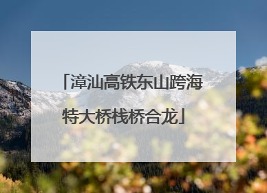 漳汕高铁东山跨海特大桥栈桥合龙