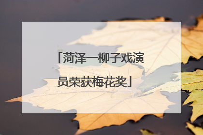 菏泽一柳子戏演员荣获梅花奖