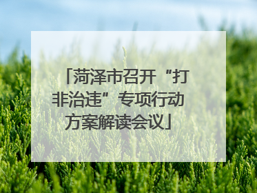 菏泽市召开“打非治违”专项行动方案解读会议