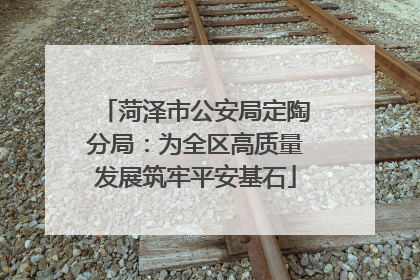 菏泽市公安局定陶分局：为全区高质量发展筑牢平安基石