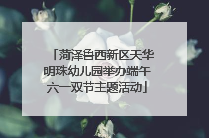菏泽鲁西新区天华明珠幼儿园举办端午六一双节主题活动