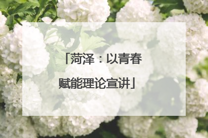 菏泽：以青春赋能理论宣讲