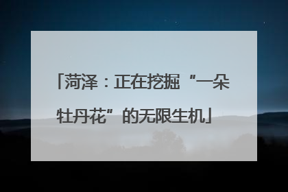 菏泽：正在挖掘“一朵牡丹花”的无限生机