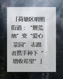 荷塘区明照街道：“撂荒地”变“爱心菜园” 志愿者携手种下“增收希望”
