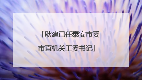 耿建已任泰安市委市直机关工委书记