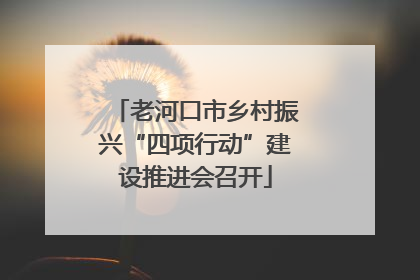 老河口市乡村振兴“四项行动”建设推进会召开