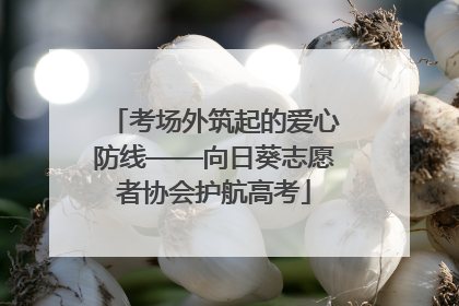 考场外筑起的爱心防线——向日葵志愿者协会护航高考