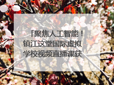 聚焦人工智能！镇江这堂国际虚拟学校视频直播课获韩美伙伴点赞