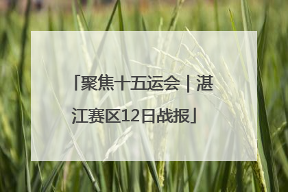 聚焦十五运会｜湛江赛区12日战报