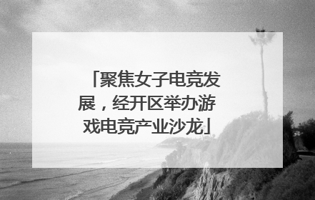 聚焦女子电竞发展，经开区举办游戏电竞产业沙龙