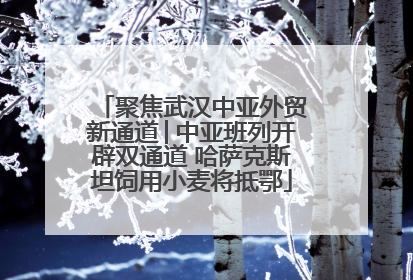 聚焦武汉中亚外贸新通道│中亚班列开辟双通道 哈萨克斯坦饲用小麦将抵鄂