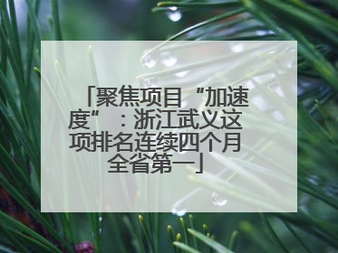 聚焦项目“加速度”：浙江武义这项排名连续四个月全省第一
