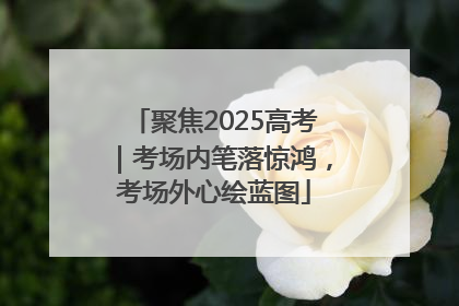 聚焦2025高考｜考场内笔落惊鸿，考场外心绘蓝图