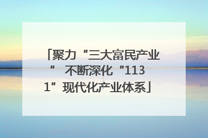 聚力“三大富民产业” 不断深化“1131”现代化产业体系