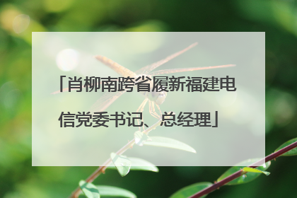 肖柳南跨省履新福建电信党委书记、总经理