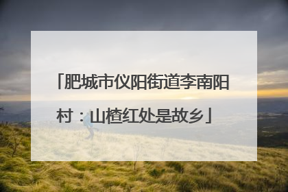 肥城市仪阳街道李南阳村：山楂红处是故乡
