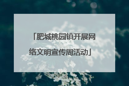 肥城桃园镇开展网络文明宣传周活动