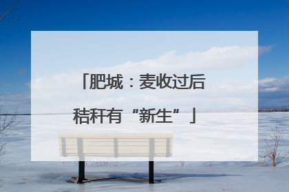 肥城：麦收过后秸秆有“新生”