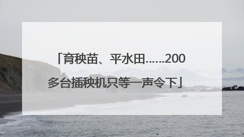 育秧苗、平水田……200多台插秧机只等一声令下
