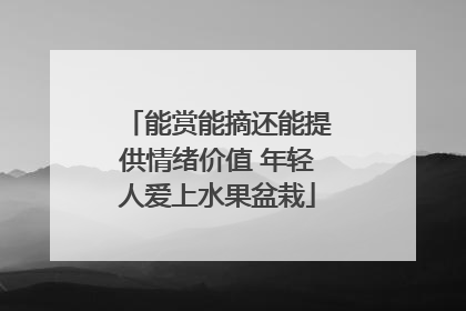 能赏能摘还能提供情绪价值 年轻人爱上水果盆栽