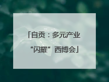 自贡：多元产业“闪耀”西博会